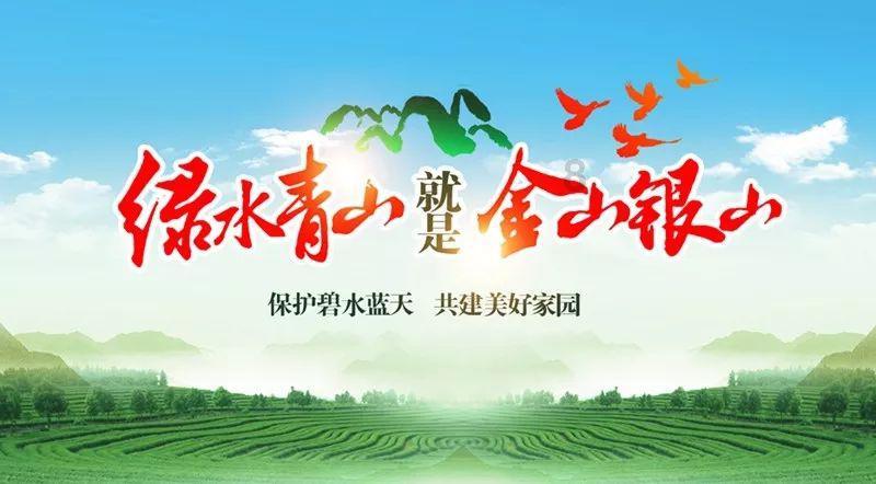 月光影视
